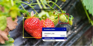 Uploaded image: AI 12.jpg